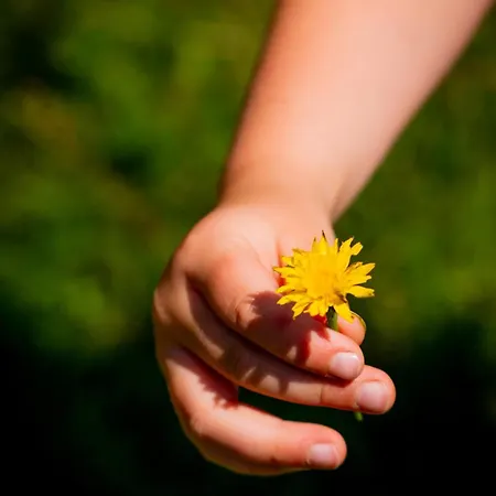 شقة Eggert Alm السنبرغ