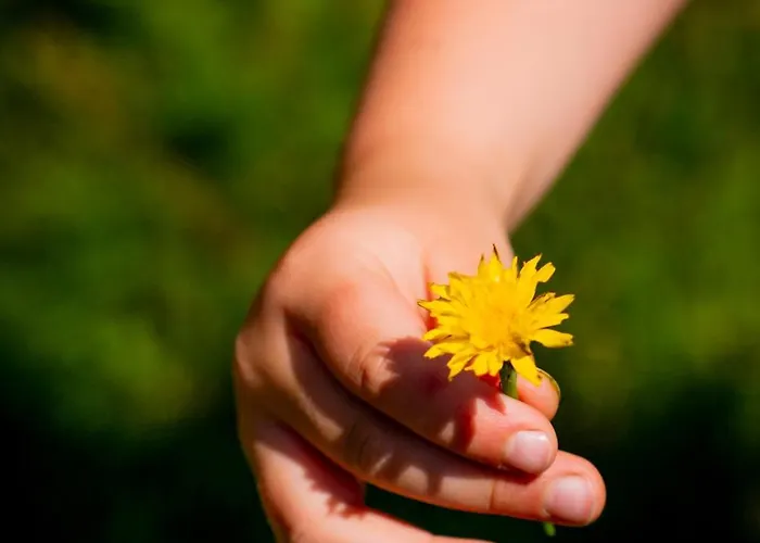 Διαμέρισμα Eggert Alm Ilsenburg