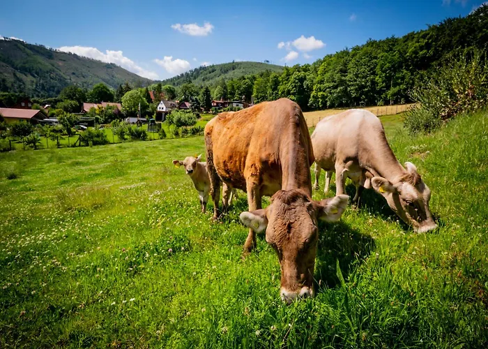 Διαμέρισμα Eggert Alm *